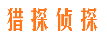 宜秀市侦探公司